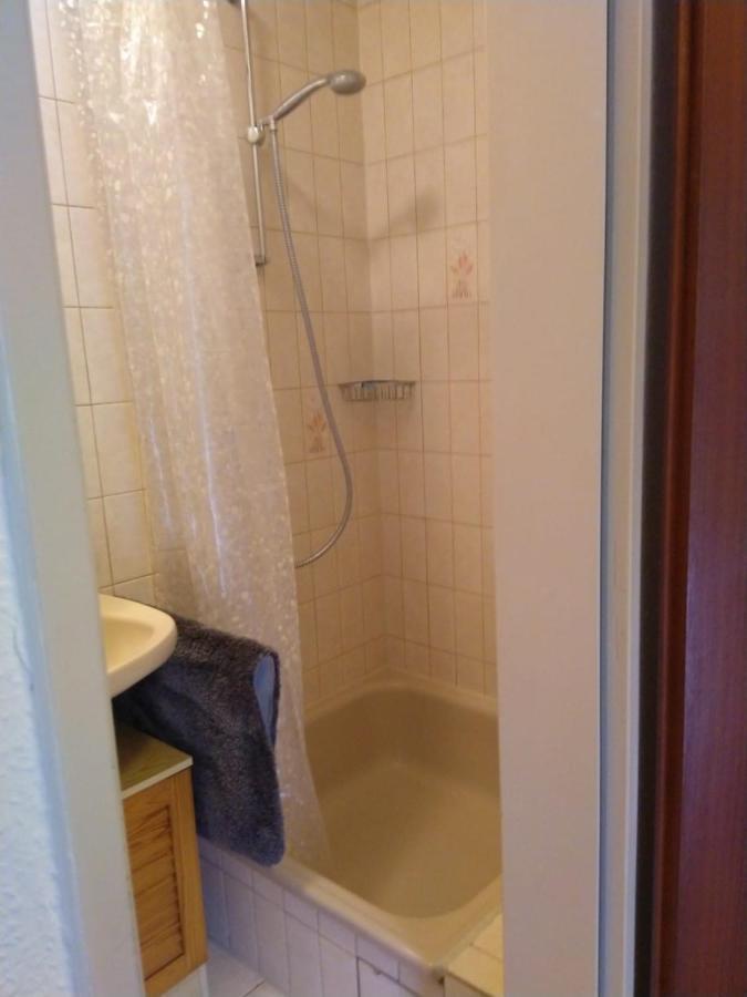 Kleine Ferienwohnung, Einzimmeraparment In Altenkirchen Almersbach Exteriör bild